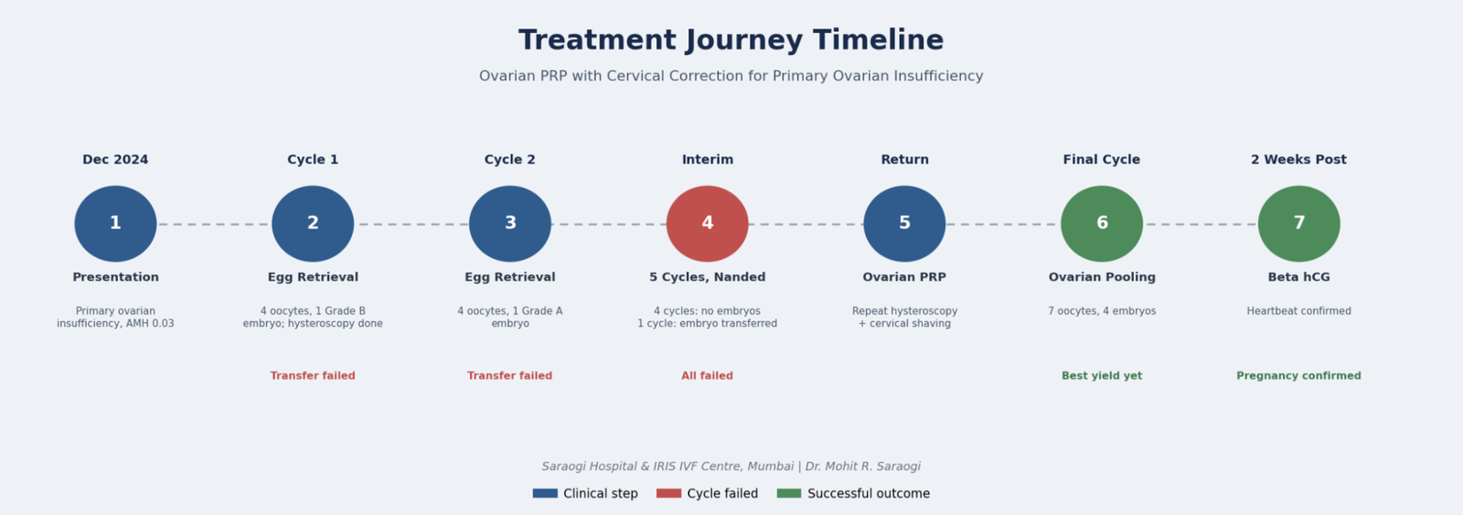 Treatment journey timeline: seven steps from Presentation to Beta hCG, showing cycle results and outcomes color-coded (transfer failed, best yield yet, pregnancy confirmed).