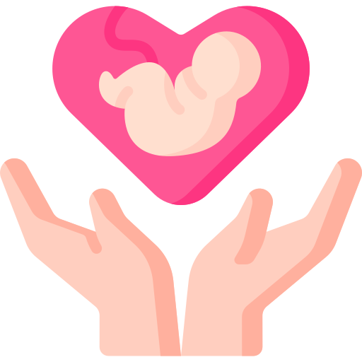 surrogacy - Saraogi Hospital Two open hands cradle a pink heart with a fetus inside, symbolizing prenatal care and support.