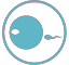 Intracytoplasmic morphologically selected sperm injection (IMSI)