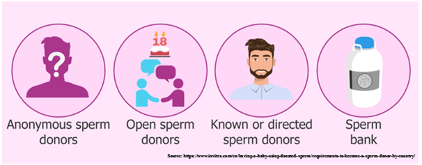Donor Sperm Procedure in Mumbai