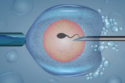 ivf treatment