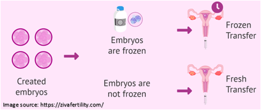 Frozen Embryo Transfers: 6 Things to Know | Saraogi IVF Centre