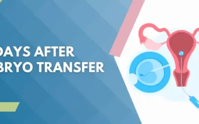 16 days after embryo transfer