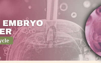 Frozen Embryo Transfer on Day 22 of Cycle