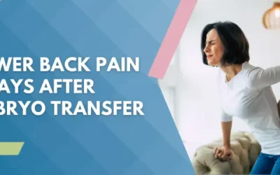 Lower Back Pain 5 Days After Embryo Transfer