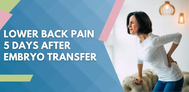 Lower Back Pain 5 Days After Embryo Transfer