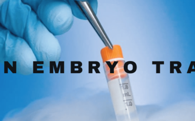 Frozen Embryo Transfers: 6 Things to Know
