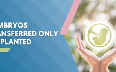 3 Embryos Transferred, Only 1 Implanted