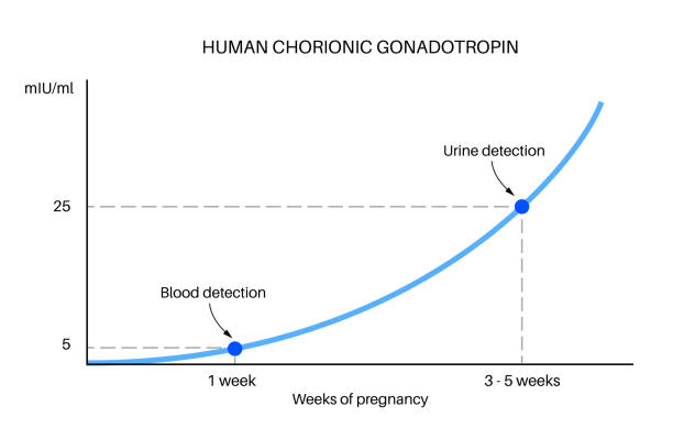 Can You Get a Negative Pregnancy Test 14 Days After Embryo Transfer