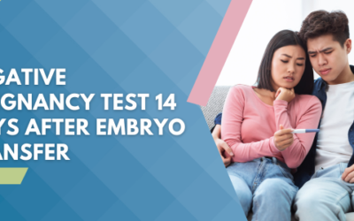 Negative Pregnancy Test 14 Days After Embryo Transfer – An Overview