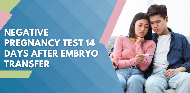 Negative Pregnancy Test 14 Days After Embryo Transfer – An Overview