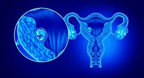 What to Expect 14 Days After Embryo Transfer - Saraogi Hospital Can You Get a Negative Pregnancy Test 14 Days After Embryo Transfer