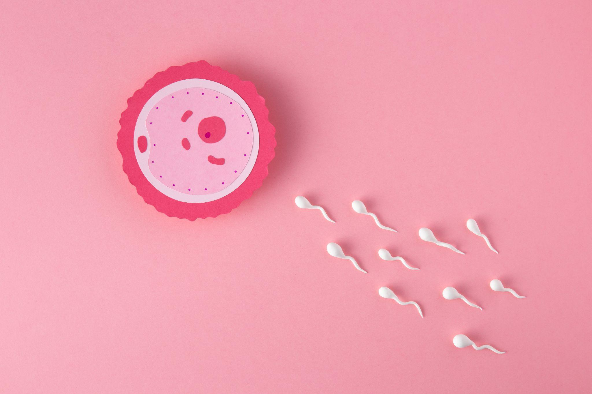 13 Day Post IUI – What to Expect, How to Test & Dr. Saraogi’s Expert Tips 13 Day Post IUI – What to Expect, How to Test & Dr. Saraogi’s Expert Tips