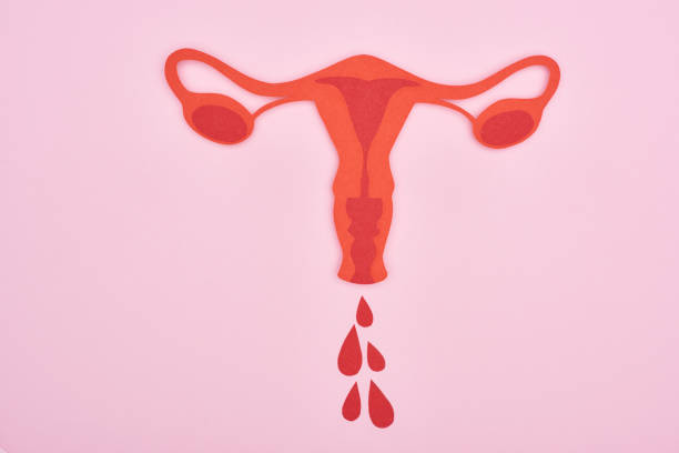 Can You Get a Negative Pregnancy Test 14 Days After Embryo Transfer