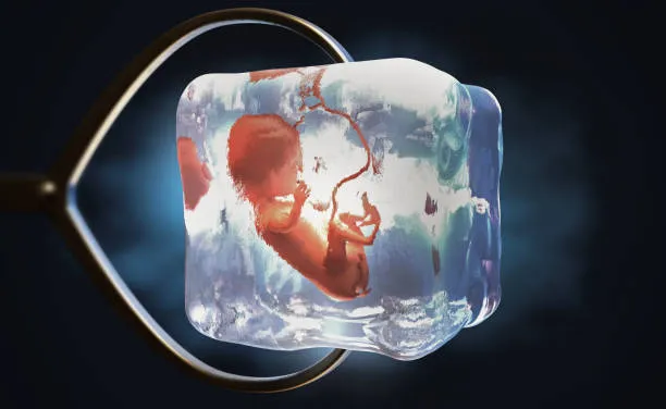 Frozen Embryo Transfer after Egg Retrieval