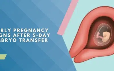 Pregnancy symptoms after Day 5 embryo transfer