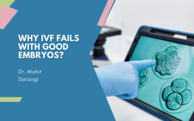 Why IVF Fails With Good Embryos?