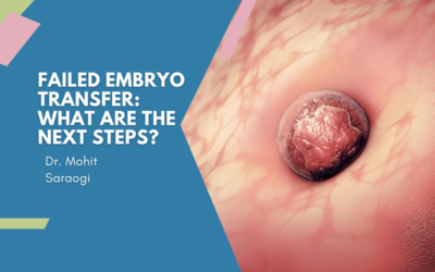 Failed Embryo Transfer: What Are the Next Steps?