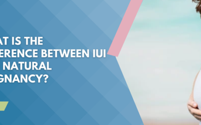 What Is the Difference Between IUI and Natural Pregnancy?