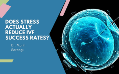 Does Stress Actually Reduce IVF Success Rates?