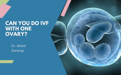 Can You Do IVF With One Ovary?