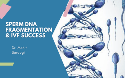 What Is Sperm DNA Fragmentation and Does It Affect IVF Success?