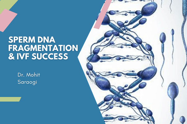 What Is Sperm DNA Fragmentation and Does It Affect IVF Success?