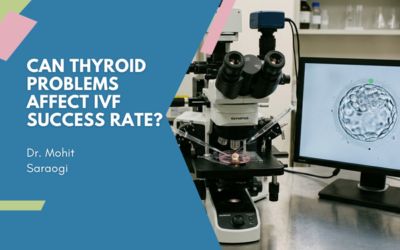 Can Thyroid Problems Affect IVF Success Rate?