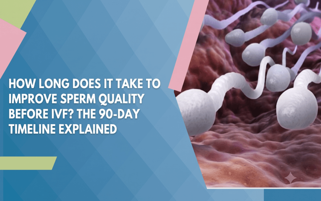 How Long Does It Take to Improve Sperm Quality Before IVF? The 90-Day Timeline Explained
