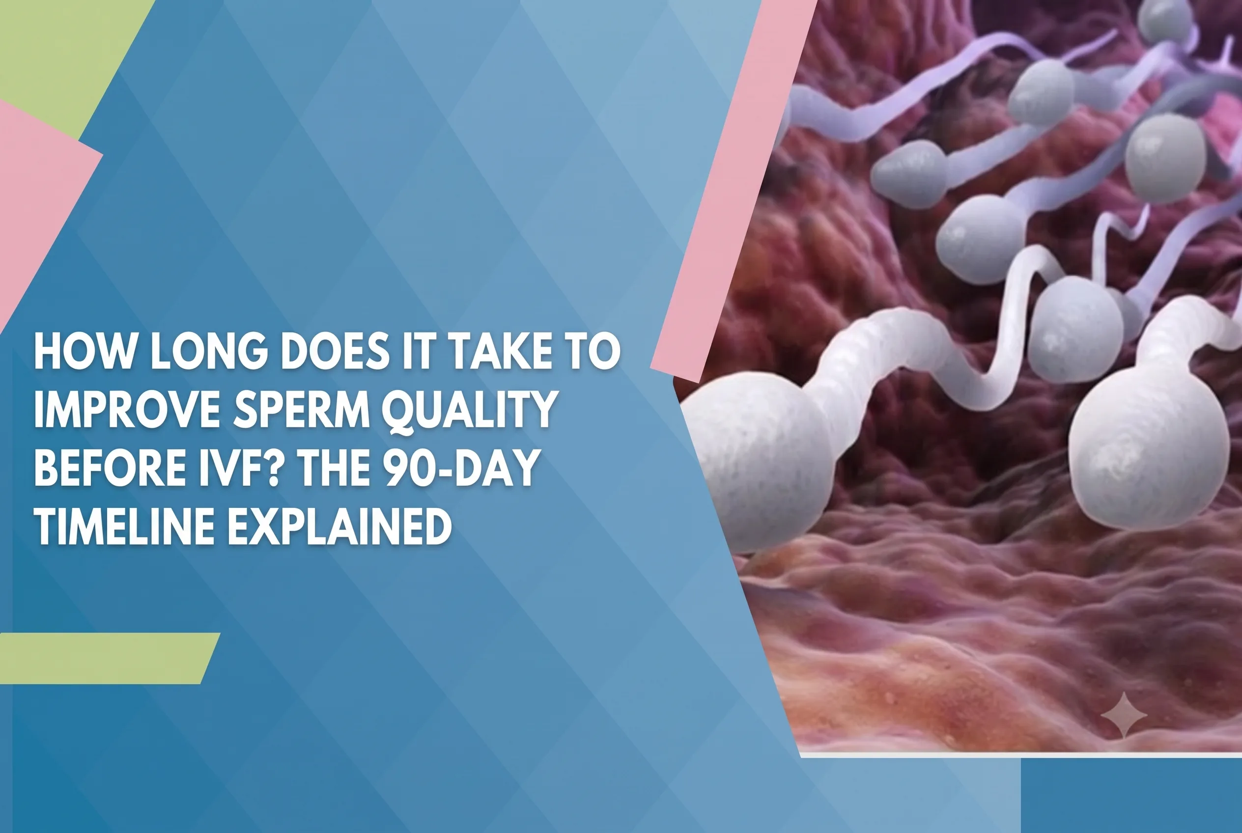 Banner with blue geometric background and pink accents, plus sperm cells on the right; headline asks about how long to improve sperm quality before IVF (90-day timeline).
