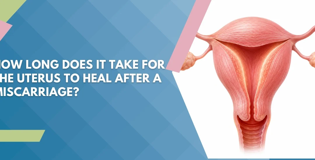 Banner asking 'How long does it take for the uterus to heal after a miscarriage?' with a uterus illustration on the right and a blue geometric background on the left.