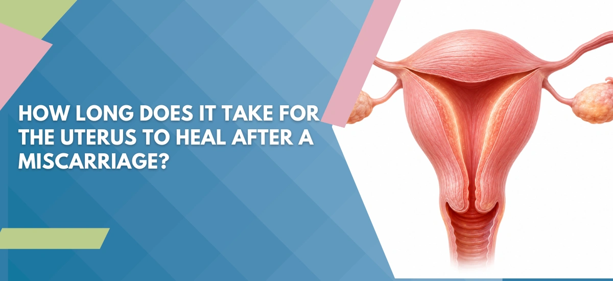 Banner asking 'How long does it take for the uterus to heal after a miscarriage?' with a uterus illustration on the right and a blue geometric background on the left.