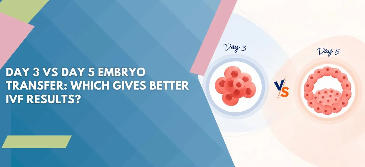 Day 3 vs Day 5 Embryo Transfer: Which Gives Better IVF Results?